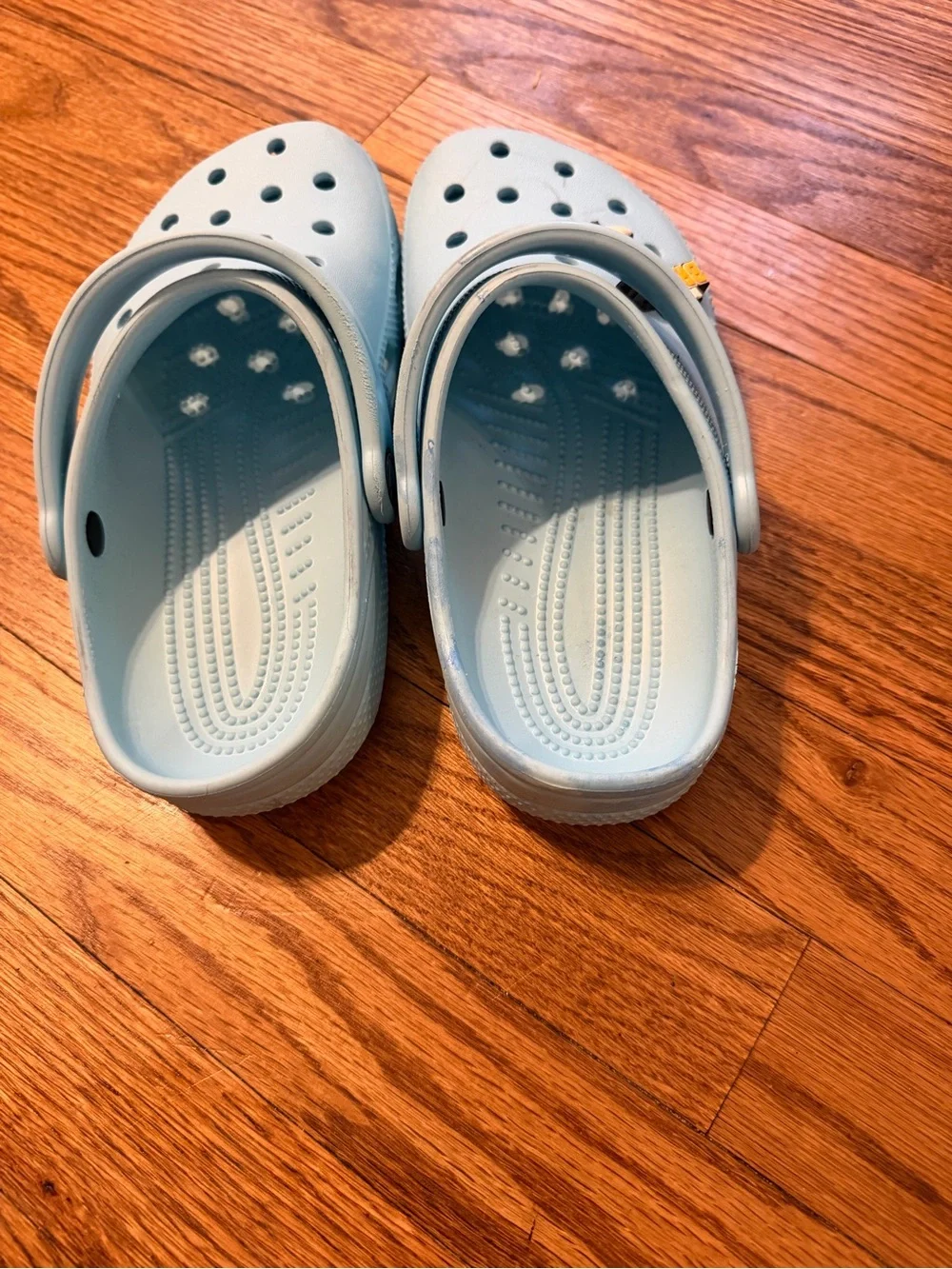 CROCS Kids Light Blue Classic Clogs with Bee Charm